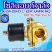 โซลินอยด์วาล์ว 220V (1นิ้ว) รุ่น 2W-250-25 (1") ยี่ห้อ Yu Yao Yue Er